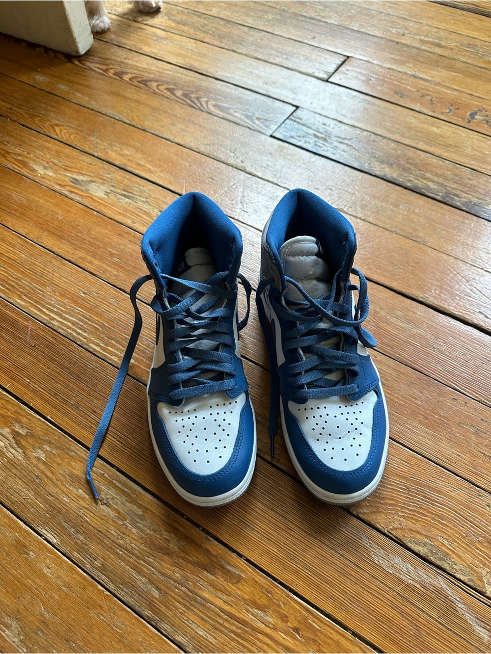 Jordan Blue and White High-Top Sneakers
